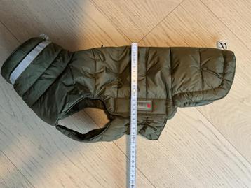 Hondenjasje beschikbaar voor biedingen