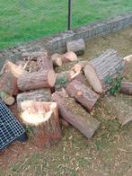 Bois coupé 40 cm