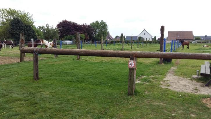 paardenstal te huur, Dieren en Toebehoren, Stalling en Weidegang, Stalling