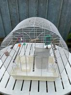 Te koop vogel kooi € 25,00, Ophalen, Zo goed als nieuw
