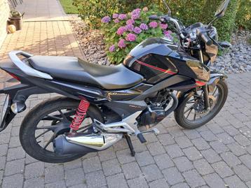 Honda, Particulier