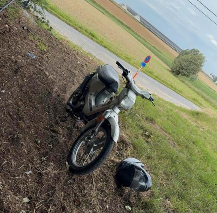 honda wallaroo delux klasse A sleeper, Vélos & Vélomoteurs, Cyclomoteurs | Cyclomoteurs de cross, Utilisé, Honda, Enlèvement