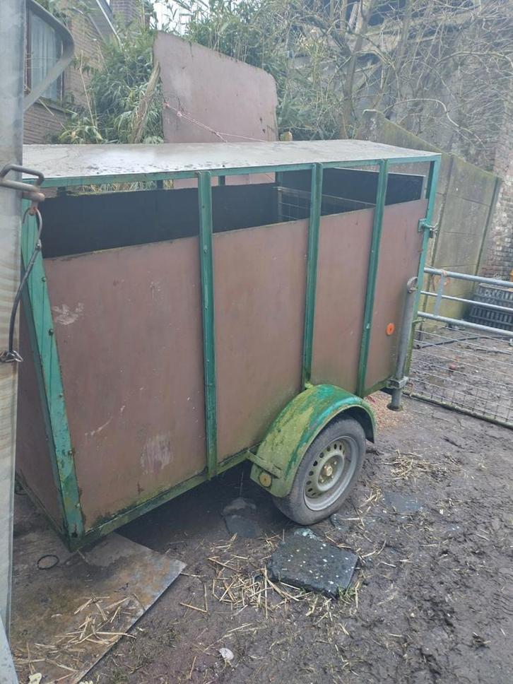 Remorc, Dieren en Toebehoren, Schapen, Geiten en Varkens