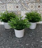 3 stuks Ikea Fejka kunstplanten met Ikea Boysenär potten, Ophalen of Verzenden, Zo goed als nieuw, Binnen