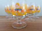 6 zeer mooie Ricard glaasjes.Kan ook apart zie omschrijving, Ophalen of Verzenden, Nieuw