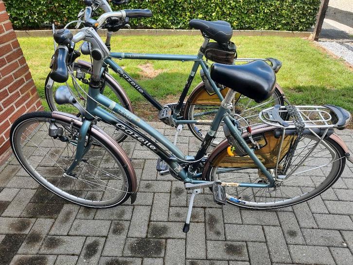 Heren fiets Gazelle Maat 57 heren fiets nog beschikbaar, Fietsen en Brommers, Fietsen | Heren | Herenfietsen, Gebruikt, Gazelle