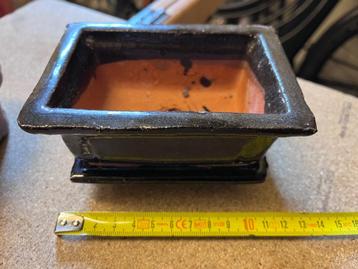 Pots Bonsaï beschikbaar voor biedingen