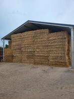 tarwe stro, Dieren en Toebehoren