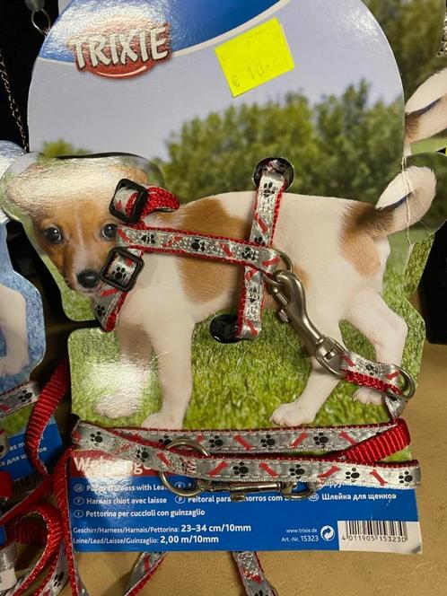 Harnasje + leibandje voor puppy aan outletprijs., Dieren en Toebehoren, Hondenhalsbanden en Penningen, Nieuw, Ophalen of Verzenden