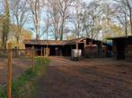 Weide te koop, Weidegang, 4 paarden of pony's of meer