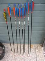 Pijlen Black Eagle X5 mat, Ophalen of Verzenden, Zo goed als nieuw, Pijlen
