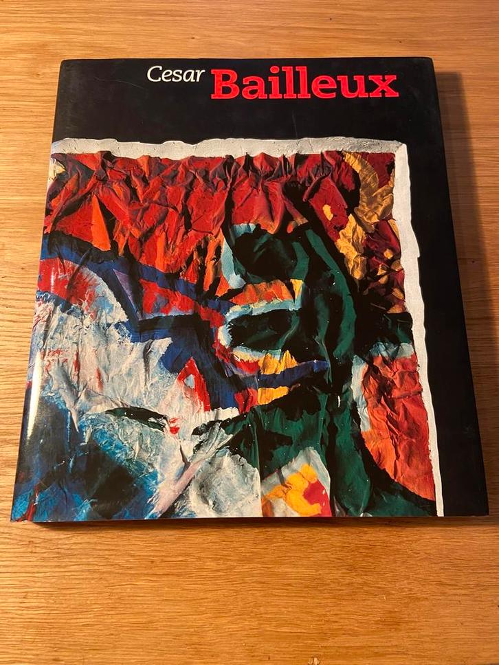 Cesar Bailleux - Monografie (GESIGNEERD), Livres, Art & Culture | Arts plastiques, Comme neuf, Enlèvement ou Envoi