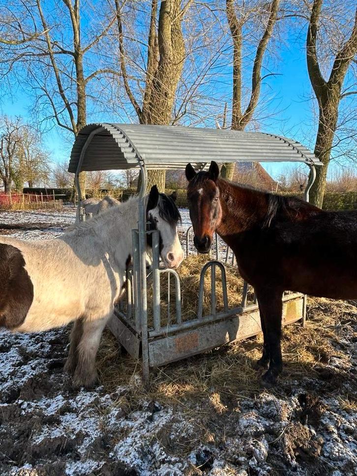 Paardenstal, Dieren en Toebehoren, Stalling en Weidegang, Stalling, Weidegang