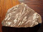 Mooi stuk versteend gefossiliseerd hout - Frankrijk, Verzamelen, Mineralen en Fossielen, Ophalen of Verzenden, Fossiel