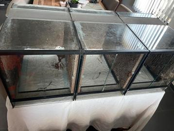 3 exo-terrariums beschikbaar voor biedingen
