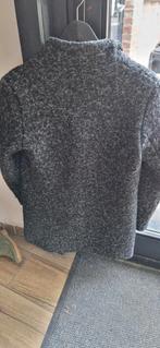 Winterjas, Kleding | Dames, Jassen | Winter, Ophalen, Zo goed als nieuw, Maat 38/40 (M)