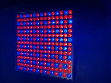 LED kweek lamp voor planten en groenten, 45watt beschikbaar voor biedingen