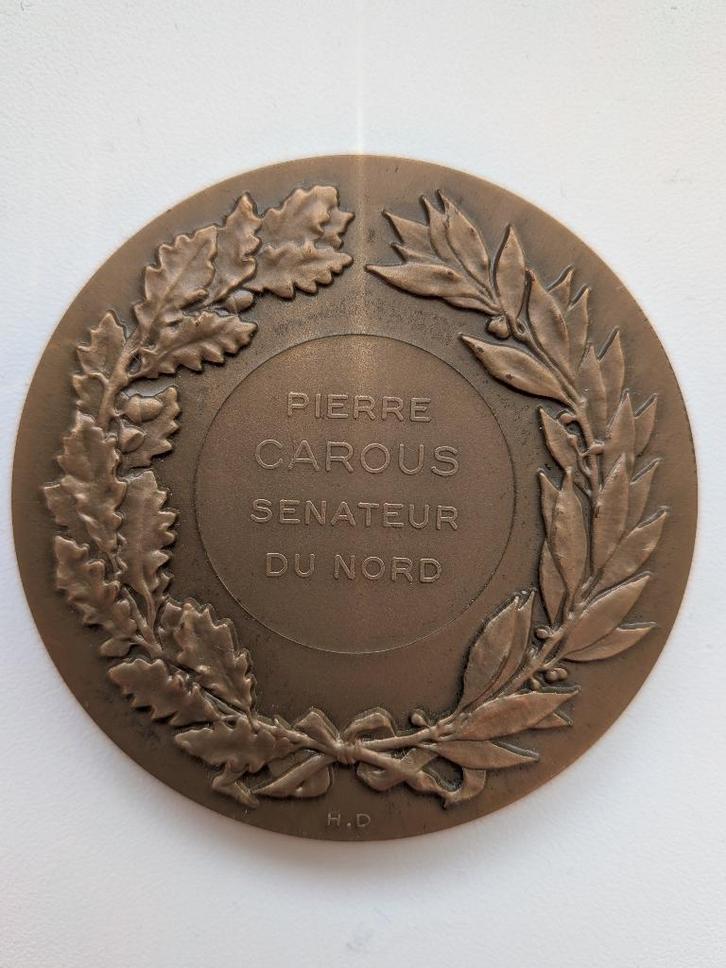 Médaille commémorative Pierre Carous, Timbres & Monnaies, Pièces & Médailles, Bronze, Enlèvement