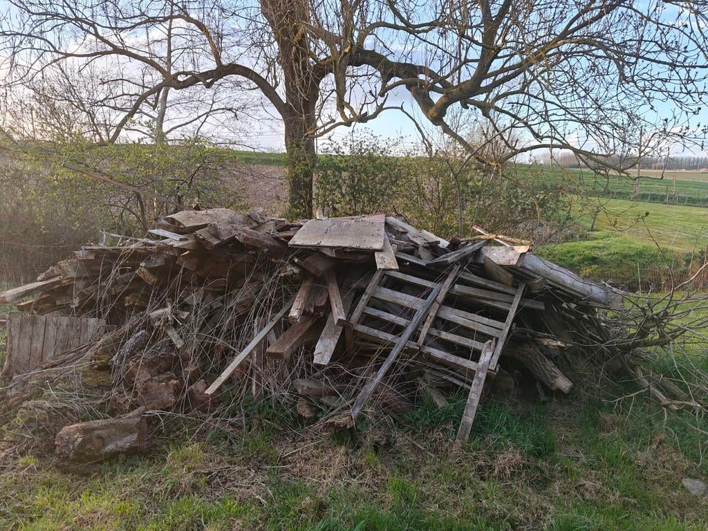 Gratis brandhout, Tuin en Terras, Ophalen