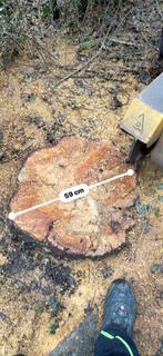 Opkuisen van tuinen stronkenfrees, Ophalen of Verzenden