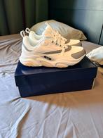 Dior b22, Vêtements | Hommes, Chaussures, Neuf, Enlèvement ou Envoi, Blanc, Baskets