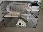 Hamsterverblijf met toebehoren, Kooi, Gebruikt, Minder dan 75 cm, Muis