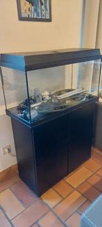 Aquarium Juwel Primo Lux 80 avec filtre externe, Led, meuble, Enlèvement