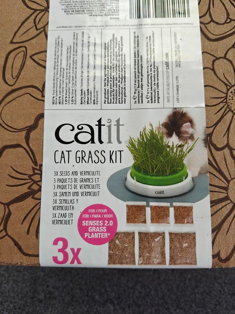 Catit gras kat, Enlèvement