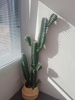 Plante artificielle 1m55, Maison & Meubles, Plantes d'intérieur, Enlèvement ou Envoi, Cactus