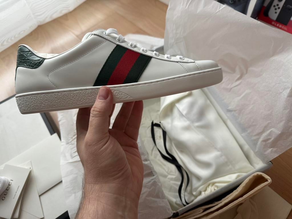 Basket Gucci ace neuf  authentique, Vêtements | Hommes, Enlèvement, Neuf, Blanc, Baskets