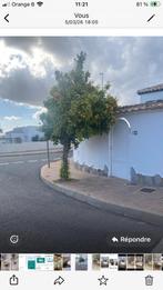 Costa Blanca huis te huur, Zwembad, Costa Blanca, Aan zee