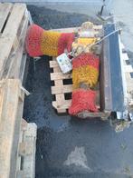 Koe borstel, Enlèvement