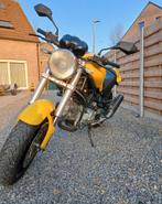 Ducati monster 620 cc, Particulier