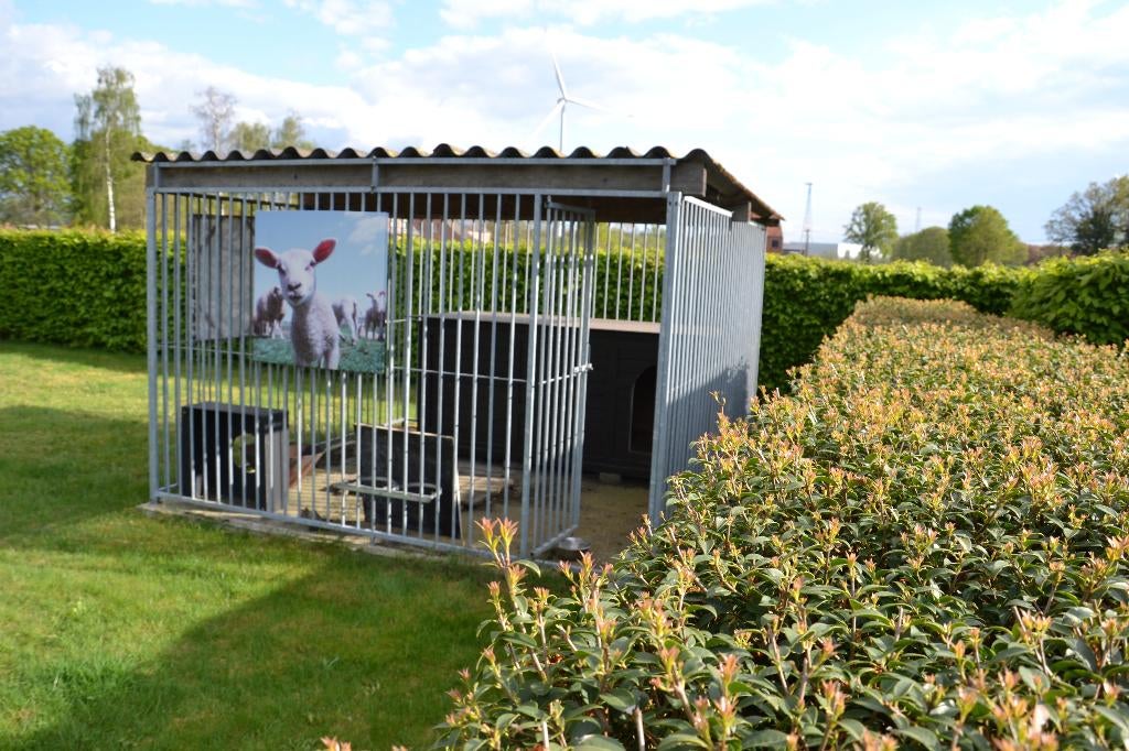 hondenkennel en of hondehok, Dieren en Toebehoren, Ophalen, Hondenkennel, 100 cm of meer, 110 cm of meer