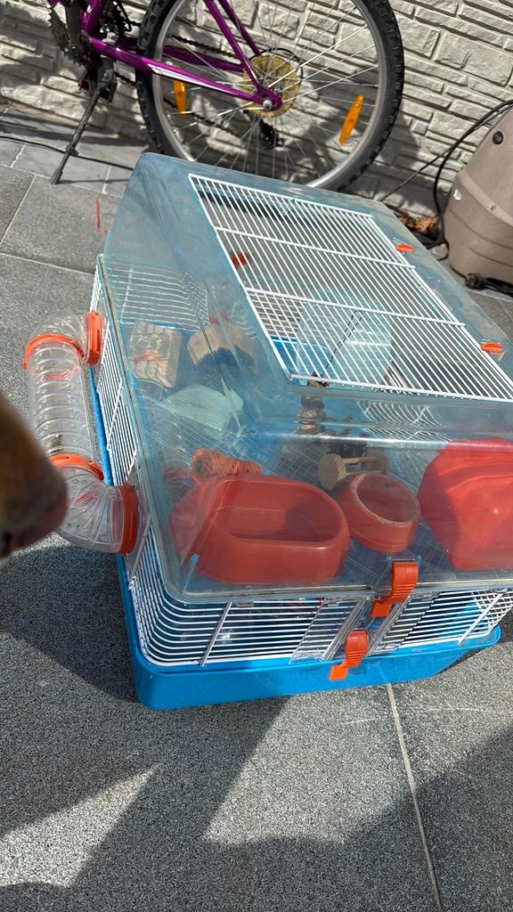 Hamster of ratten kot te koop, Dieren en Toebehoren, Kooi, Gebruikt, Minder dan 75 cm, Muis