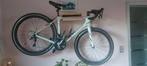 Specialized Ruby sport maat 54, Gebruikt, Versnellingen, 50 tot 53 cm, Ophalen