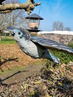 Roofvogel in volle vlucht, Dieren en Toebehoren