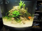 Sera aquarium nano led cube 60 liter met meubel, Dieren en Toebehoren, Ophalen, Gebruikt, Gevuld zoetwateraquarium