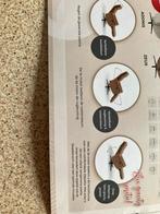 Elektrische relax, Ophalen, Zo goed als nieuw