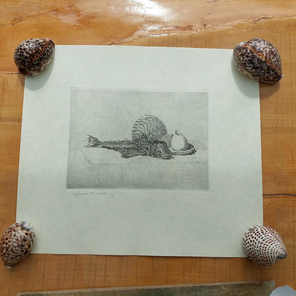 Walter Vaes ets Vis, Ophalen of Verzenden