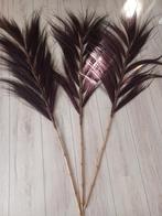 stijve zwarte 'pluimen', Ophalen, Zo goed als nieuw