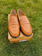 Tod's damesschoenen, Schoenen met lage hakken, Overige kleuren, Nieuw, Ophalen