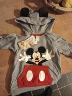 Pull mickey mouse maat 92 NIEUW, Kinderen en Baby's, Kinderkleding | Maat 92, Ophalen, Nieuw, Jongen of Meisje, Trui of Vest