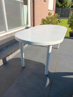 WITTE TUIN of TERRAS, Ophalen, Zo goed als nieuw, Ovaal, Kunststof