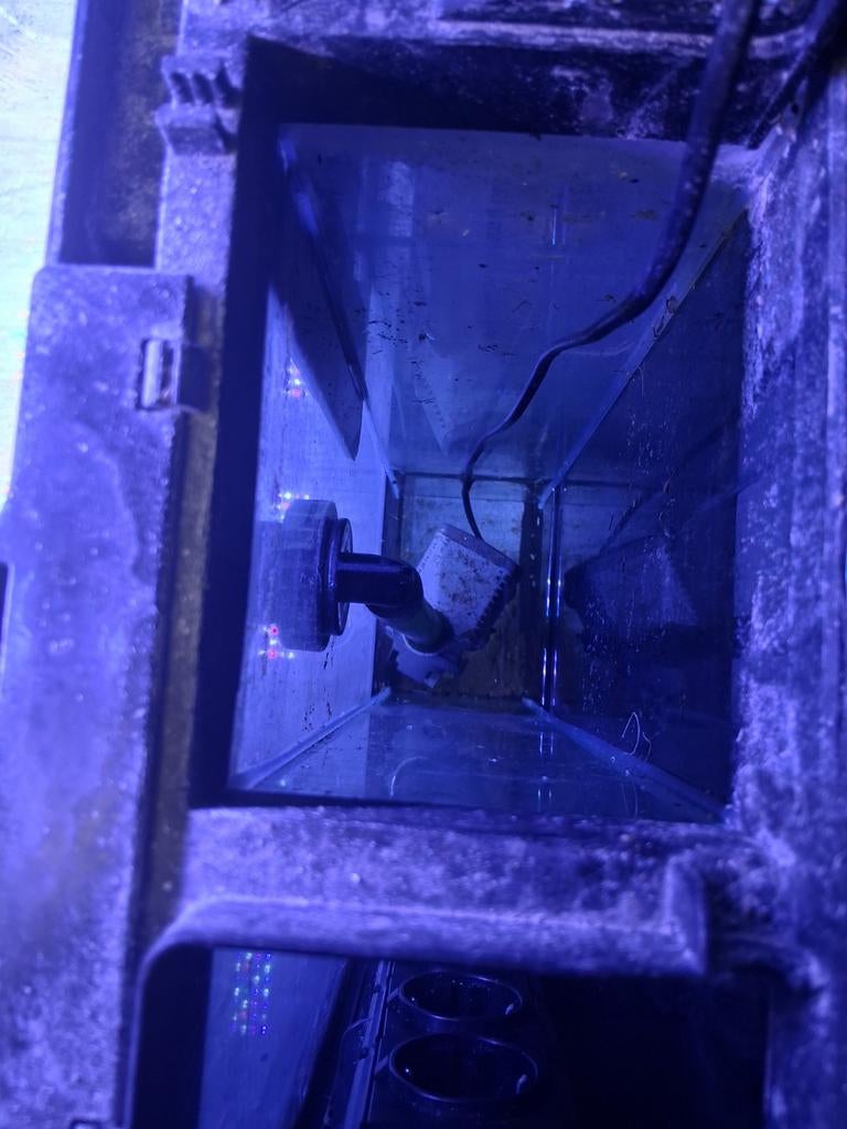 Zeeaquarium, Dieren en Toebehoren, Ophalen