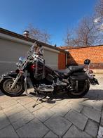 kawasaki VN 800, Motos, Permis Moto A, Plus de 35 kW, Chopper, 2 cylindres