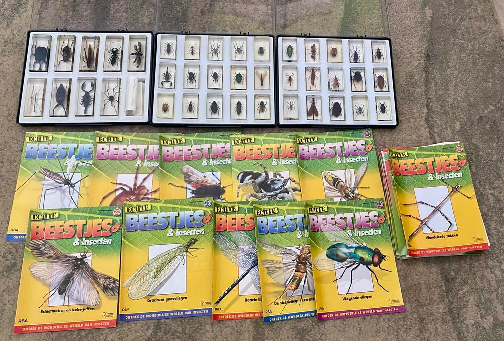Insecten versameling, Hobby & Loisirs créatifs, Hobby & Loisirs Autre, Enlèvement