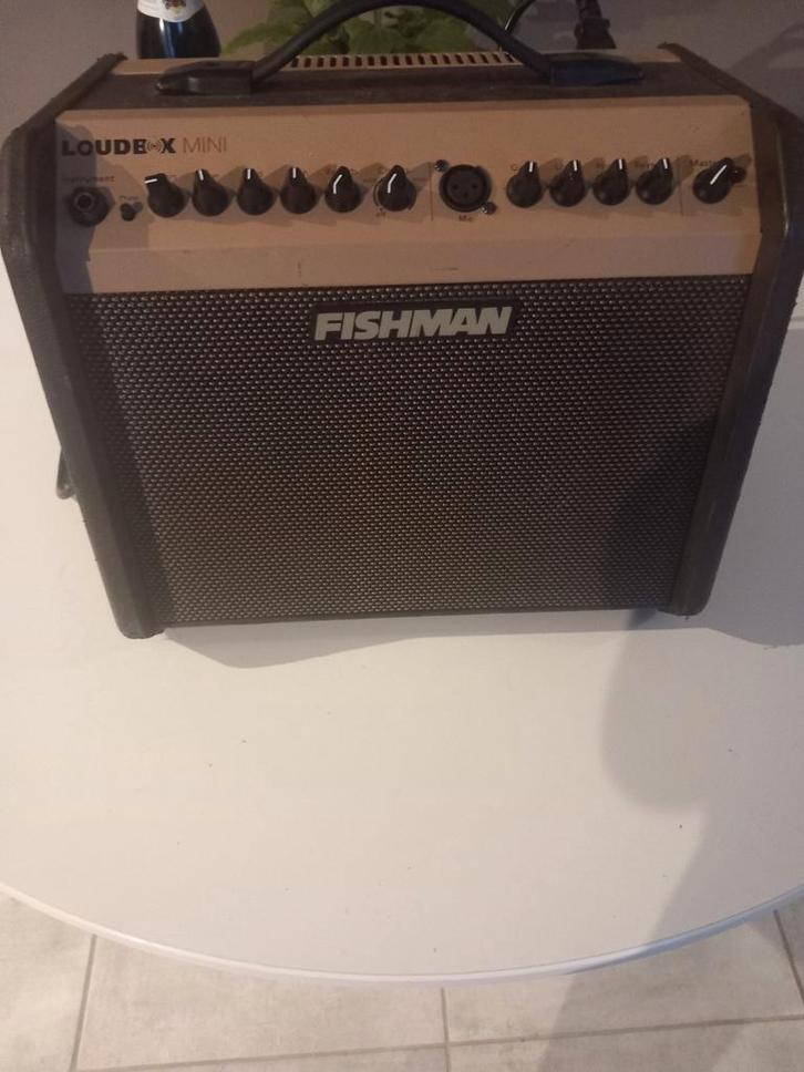 Ampli fishman loudebox mini version sans Bluetooth., Musique & Instruments, Amplis | Basse & Guitare
