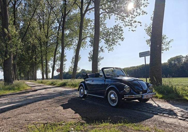 Charmante Kever, Auto's, Volkswagen, Particulier, Beetle (Kever), Benzine, Euro 1, Cabriolet, 2 deurs, Handgeschakeld, Blauw, Zwart