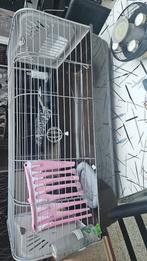 Cage a lapin cochon dinde ou autres, Enlèvement, Cage, Lapin